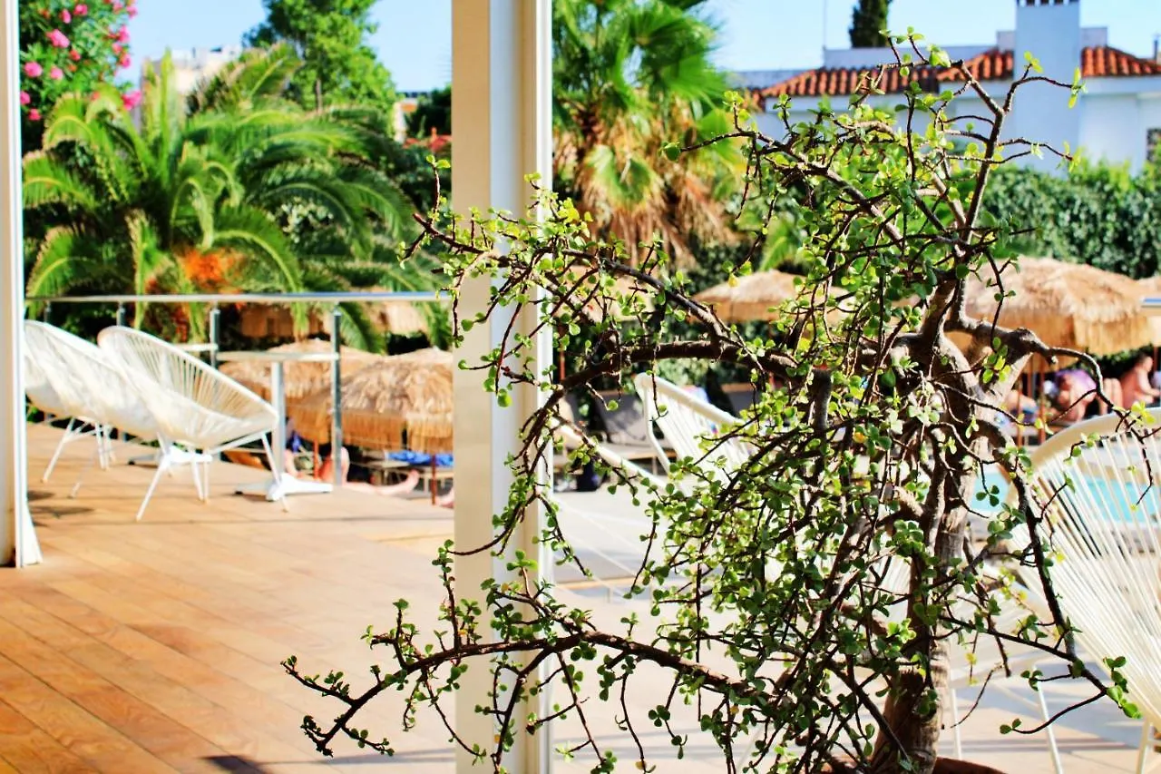 Hotel Vista Odin Playa de Palma